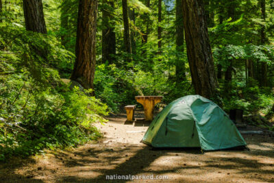 Ohanapecosh Campground in Mount Rainier National Park in Washington