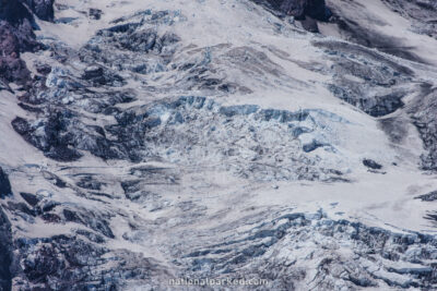 Paradise Closeups in Mount Rainier National Park in Washington