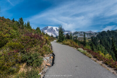 Paradise Trails in Mount Rainier National Park in Washington