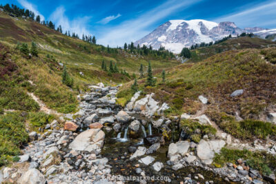 Paradise Trails in Mount Rainier National Park in Washington