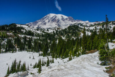 Paradise Valley in Mount Rainier National Park in Washington