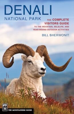 Denali National Park: The Complete Guide