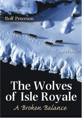 The Wolves of Isle Royale: A Broken Balance