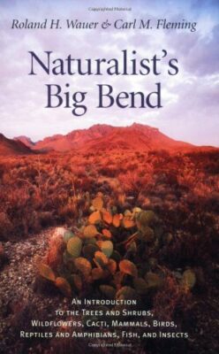 Naturalist’s Big Bend