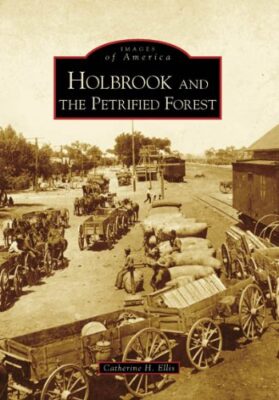 Holbrook and the Petrified Forest