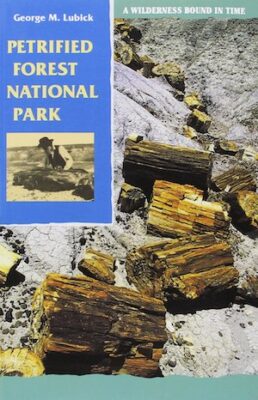 Petrified Forest National Park: A Wilderness Bound in Time