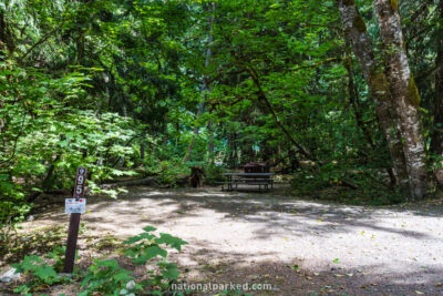 Colonial Creek Campground in North Cascades National Park Complex