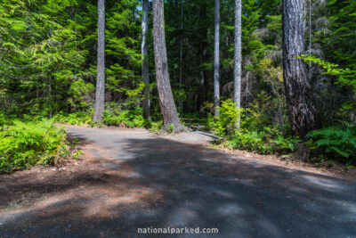 Newhalem Creek Campground in North Cascades National Park Complex