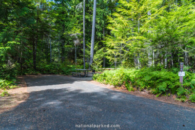 Newhalem Creek Campground, North Cascades National Park Complex, Washington