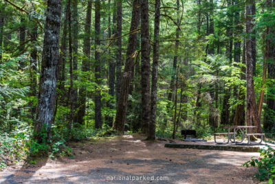 Newhalem Creek Campground in North Cascades National Park Complex