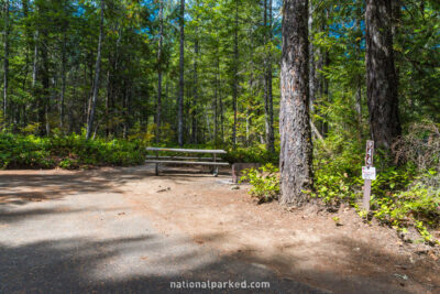 Newhalem Creek Campground in North Cascades National Park Complex