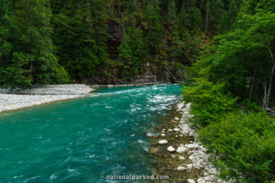 Skagit River in Ross Lake National Recreation Area in Washington