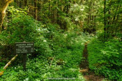 Aurora Ridge Trailhead in Olympic National Park in Washington