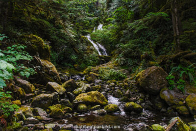 Bunch Falls in Olympic National Park in Washington