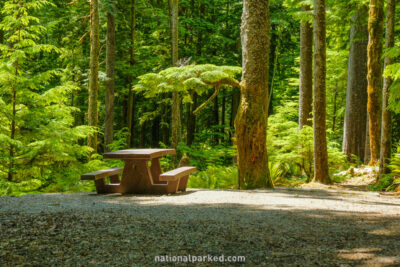 Fairholme Campground in Olympic National Park in Washington