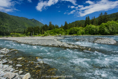 Hoh River in Olympic National Park in Washington