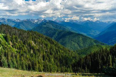 Hurricane Ridge in Olympic National Park in Washington