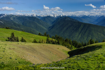 Hurricane Ridge in Olympic National Park in Washington