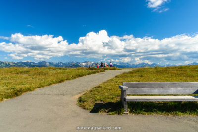 Hurricane Ridge Trails in Olympic National Park in Washington