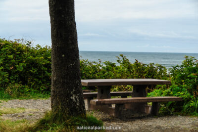 Kalaloch Campground in Olympic National Park in Washington