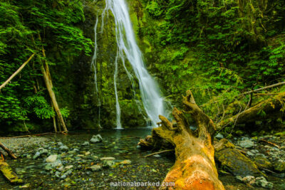 Madison Creek Falls in Olympic National Park in Washington