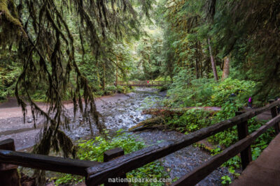 Marymere Falls Trail in Olympic National Park in Washington