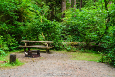 Mora Campground in Olympic National Park in Washington