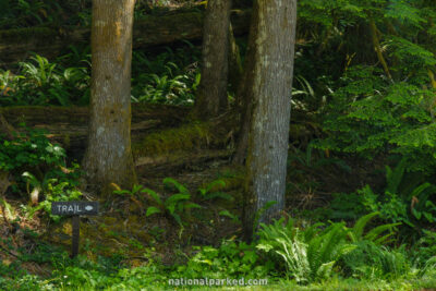 North Fork Trailhead in Olympic National Park in Washington