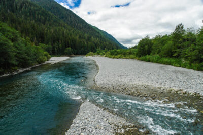 Quinault River in Olympic National Park in Washington