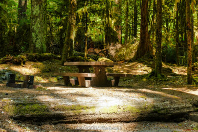 Sol Duc Campground in Olympic National Park in Washington