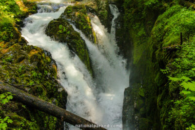 Sol Duc Falls in Olympic National Park in Washington