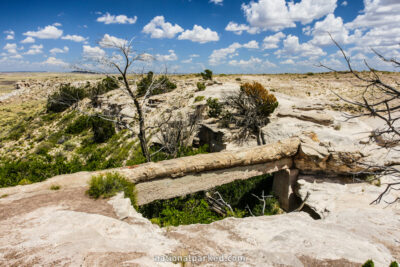 Agate Bridge in Petrified Forest National Park in Arizona