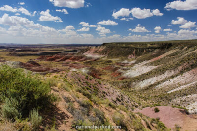 Nizhoni Point in Petrified Forest National Park in Arizona