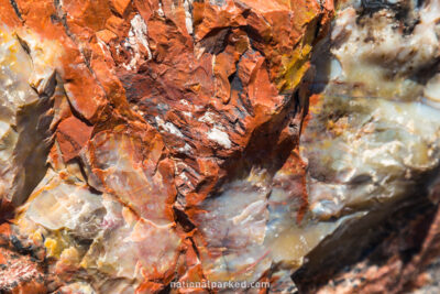 Rainbow Forest in Petrified Forest National Park in Arizona