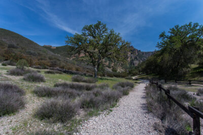 Chaparral Trailhead Area in Pinnacles National Park in California