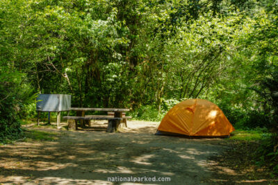 Elk Prairie Campground in Redwood National Park in California