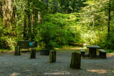 Jedidiah Smith Campground in Redwood National Park in California
