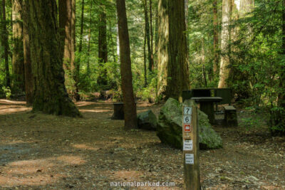 Jedidiah Smith Campground in Redwood National Park in California