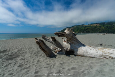 Klamath Mouth in Redwood National Park in California