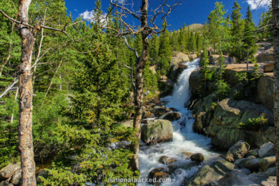 Alberta Falls in Rocky Mountain National Park in Colorado