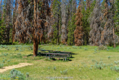 Harbison Picnic Area in Rocky Mountain National Park in Colorado