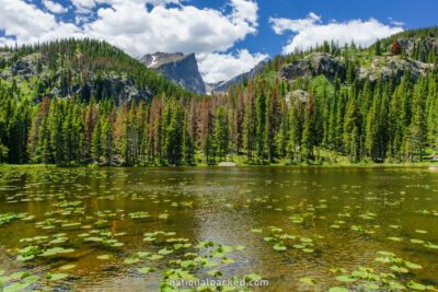 Nymph Lake in Rocky Mountain National Park in Colorado