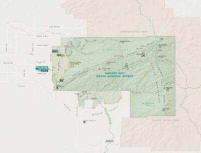 Saguaro East District Map