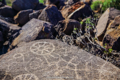 Signal Hill Trail in Saguaro National Park in Arizona