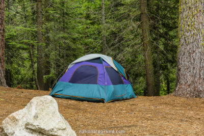 Azalea Campground in Kings Canyon National Park in California