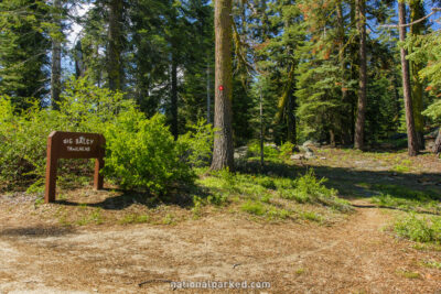 Big Baldy Trailhead in Sequoia National Forest in California