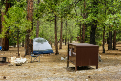Canyon View Campground in Kings Canyon National Park in California