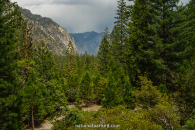 Canyon View Viewpoint in Kings Canyon National Park in California