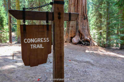 Congress Trail in Sequoia National Park in California