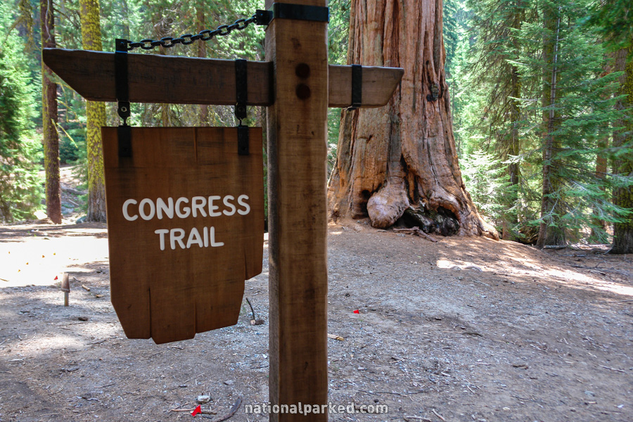Trail of the sequoias sale